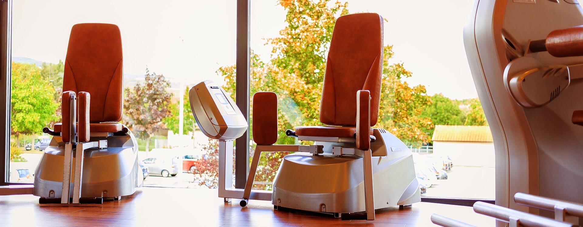 Vivana Fitness