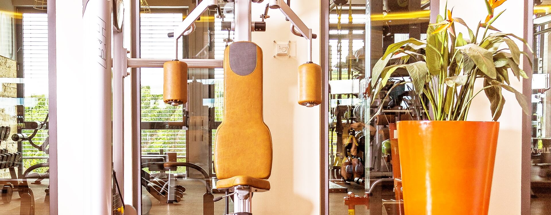 Vivana Fitness